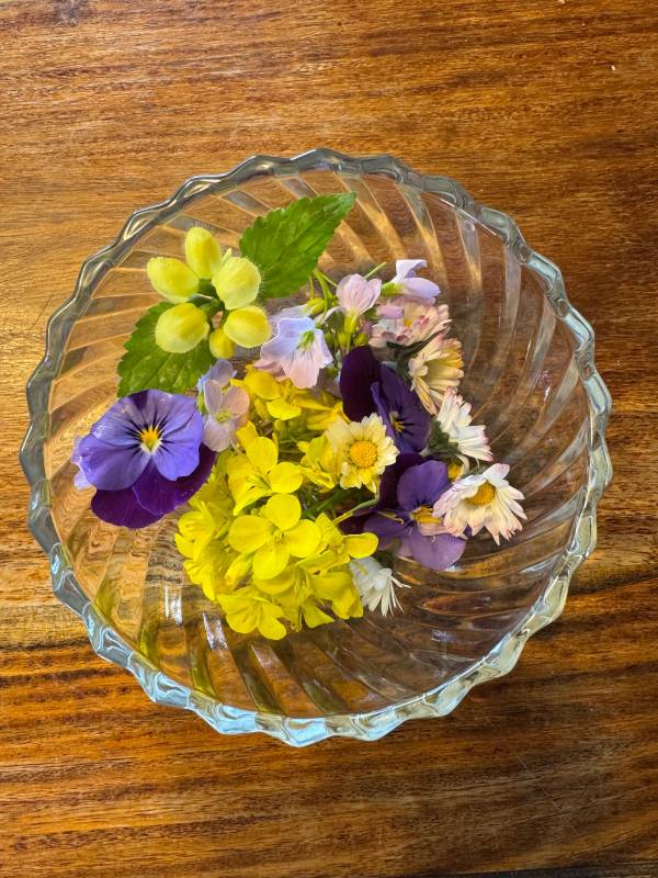 Bloemen maken de dag 😁.  Warme havermoutpap met koolzaad, pinksterbloemen, viool…