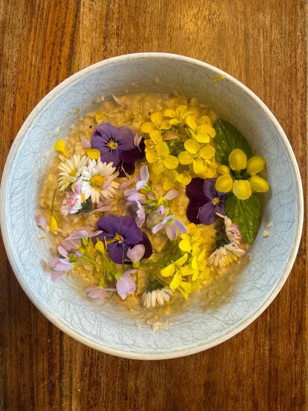 Bloemen maken de dag 😁.  Warme havermoutpap met koolzaad, pinksterbloemen, viool… (2)