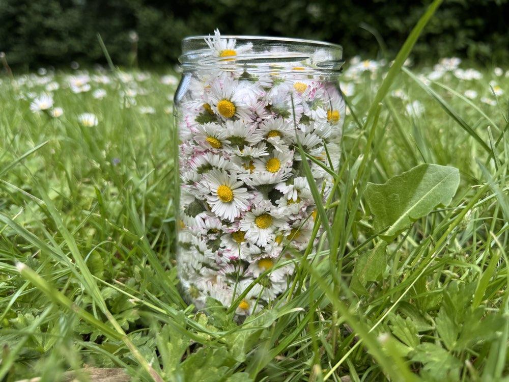 Acupunctuur behandeling Beneden-Leeuwen – Praktijk de Libelle